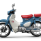 Supper Cub C125